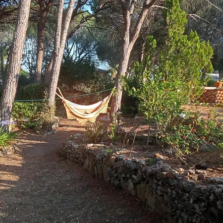 L'esbadaia *