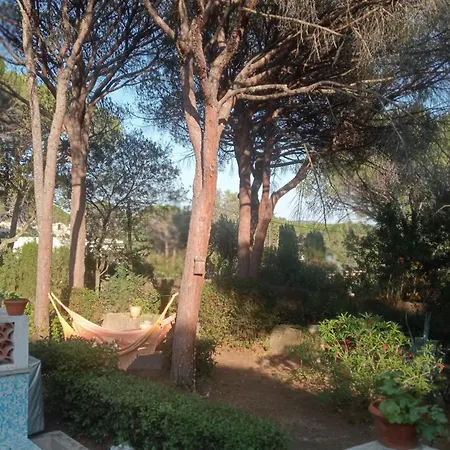 L'esbadaia Saint-Raphael (Var)